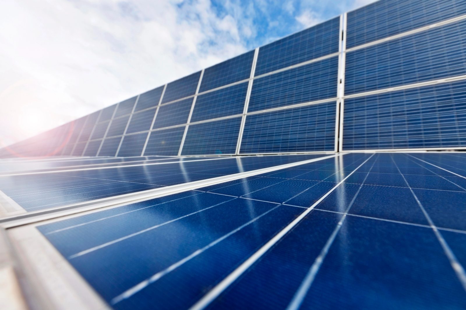 Obiteljski biznis gdje solarna elektrana postaje propast zbog konkurencije